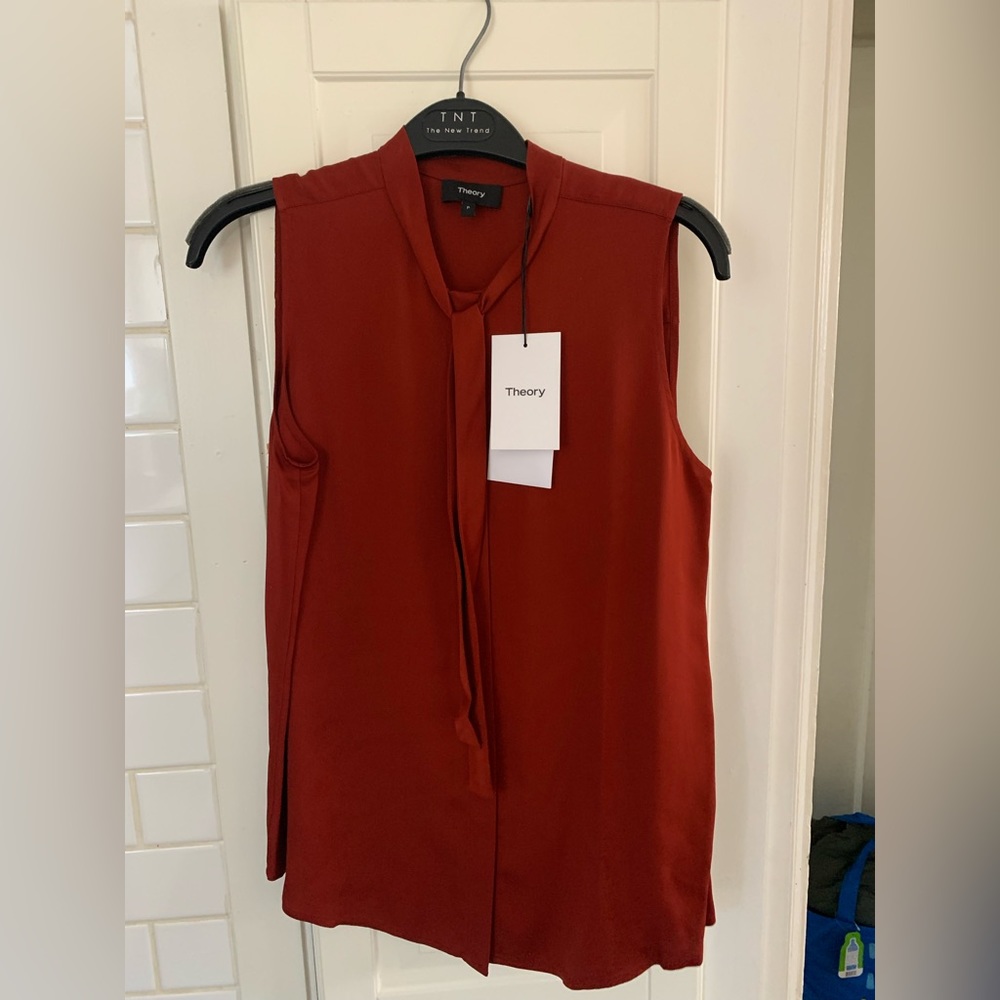 Brand new Theory Jazlina short sleeve blouse. Silk in a stunning red/rust colour